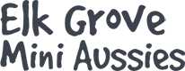 Elk Grove Mini Aussies Logo